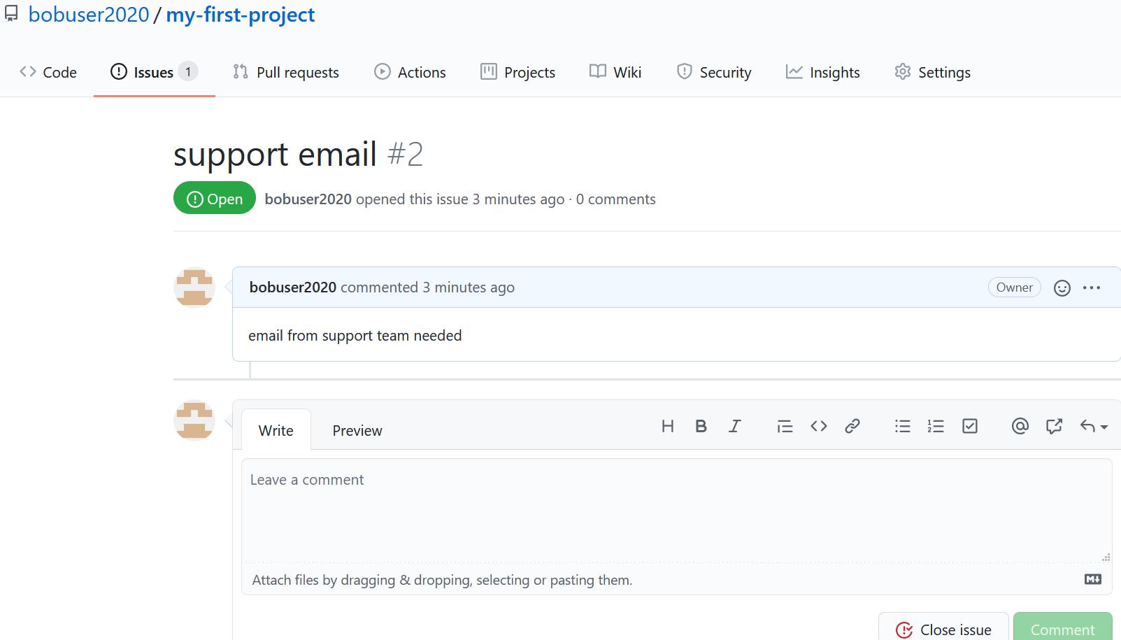 GitHub issue - continued