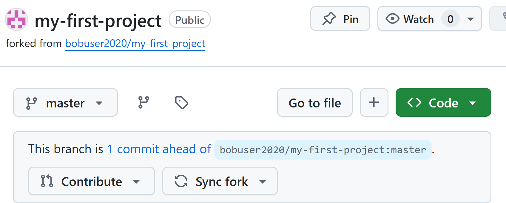 push repo