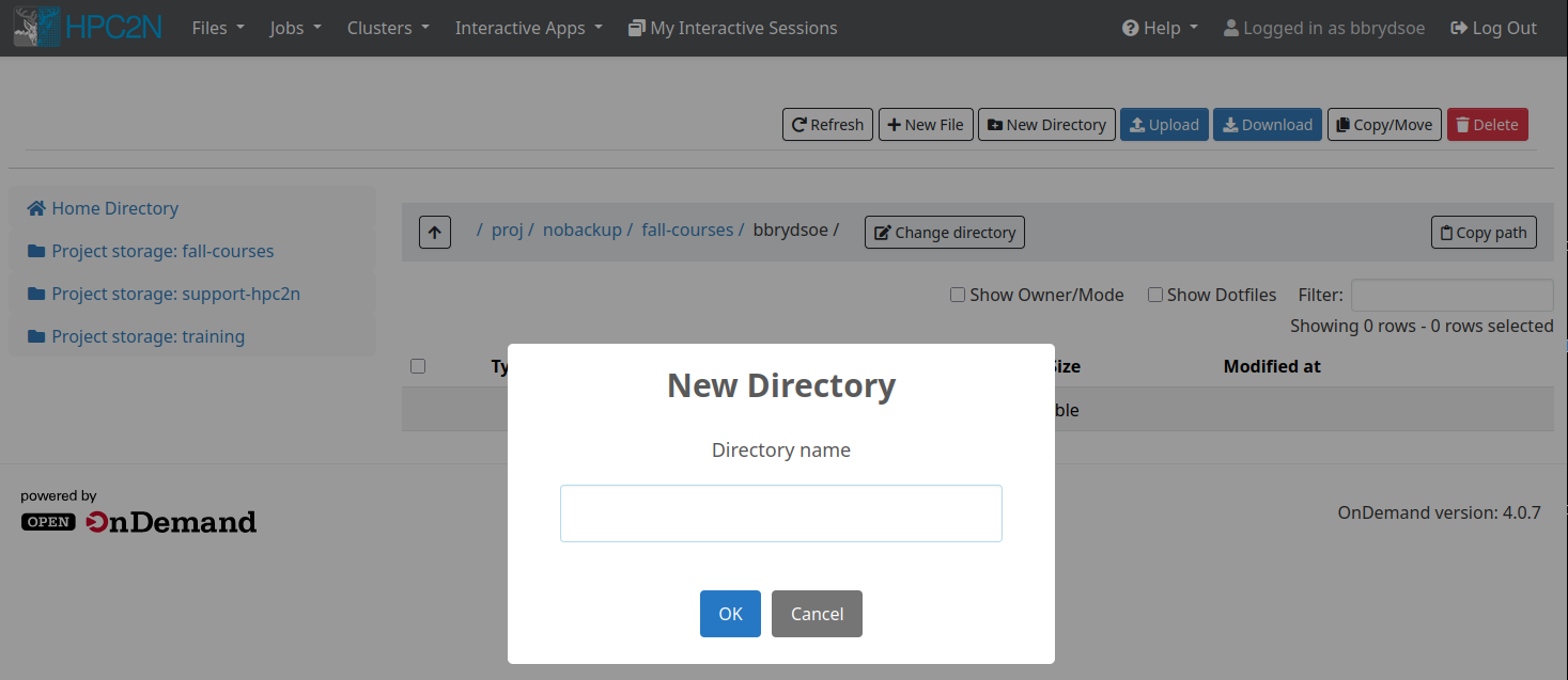 filesystem-OOD-projectdir-bbrydsoe-newdir