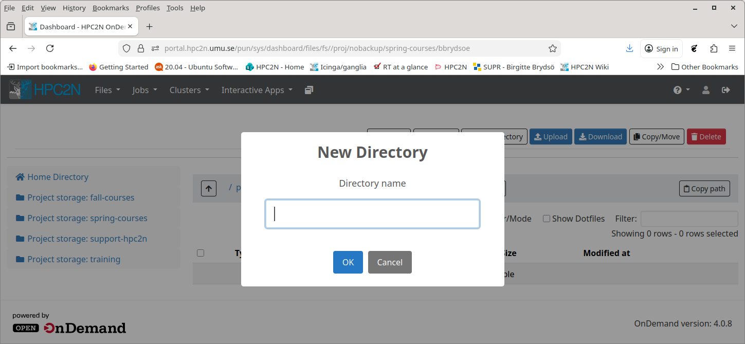 filesystem-OOD-projectdir-bbrydsoe-newdir2