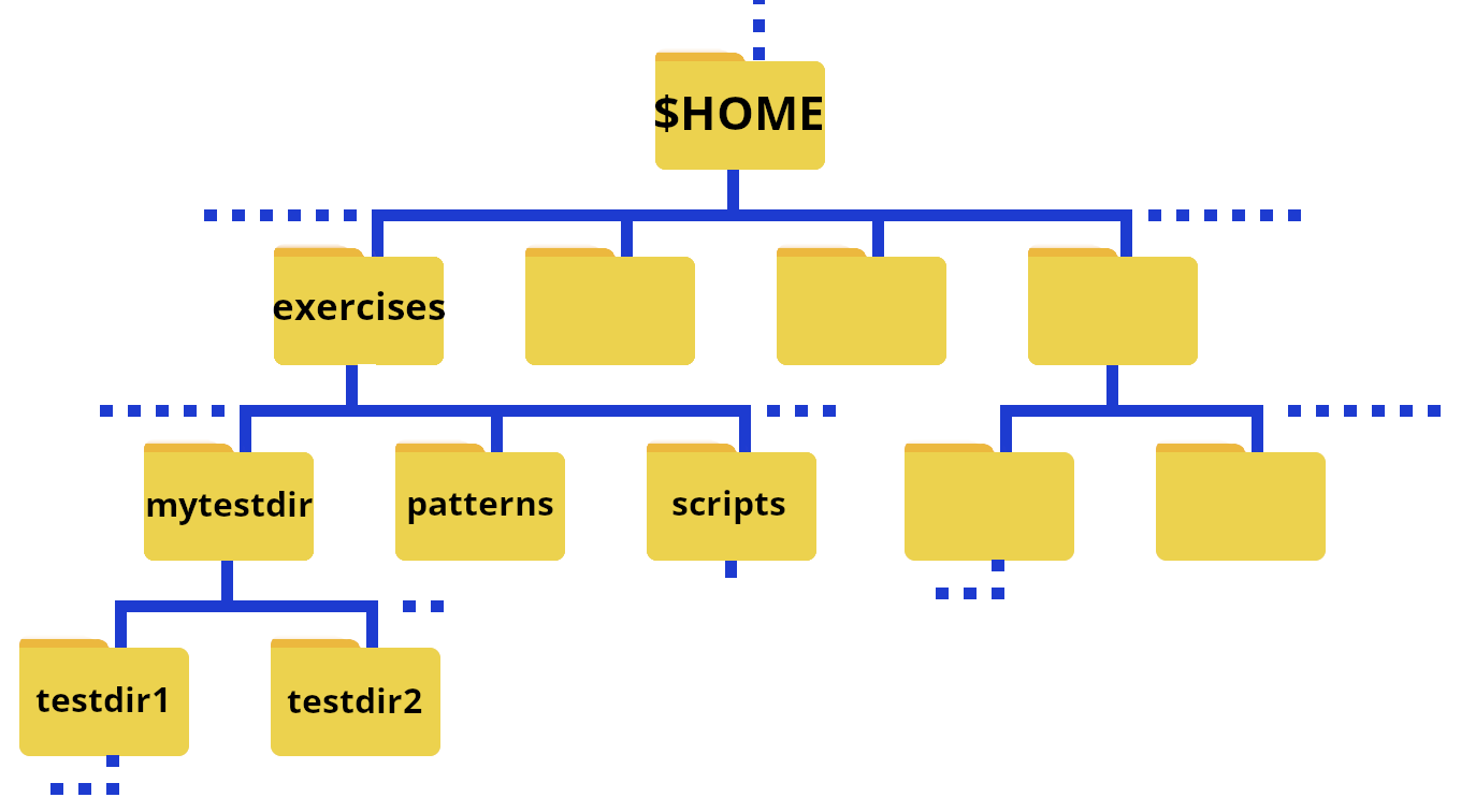 folders of exercises directory structure