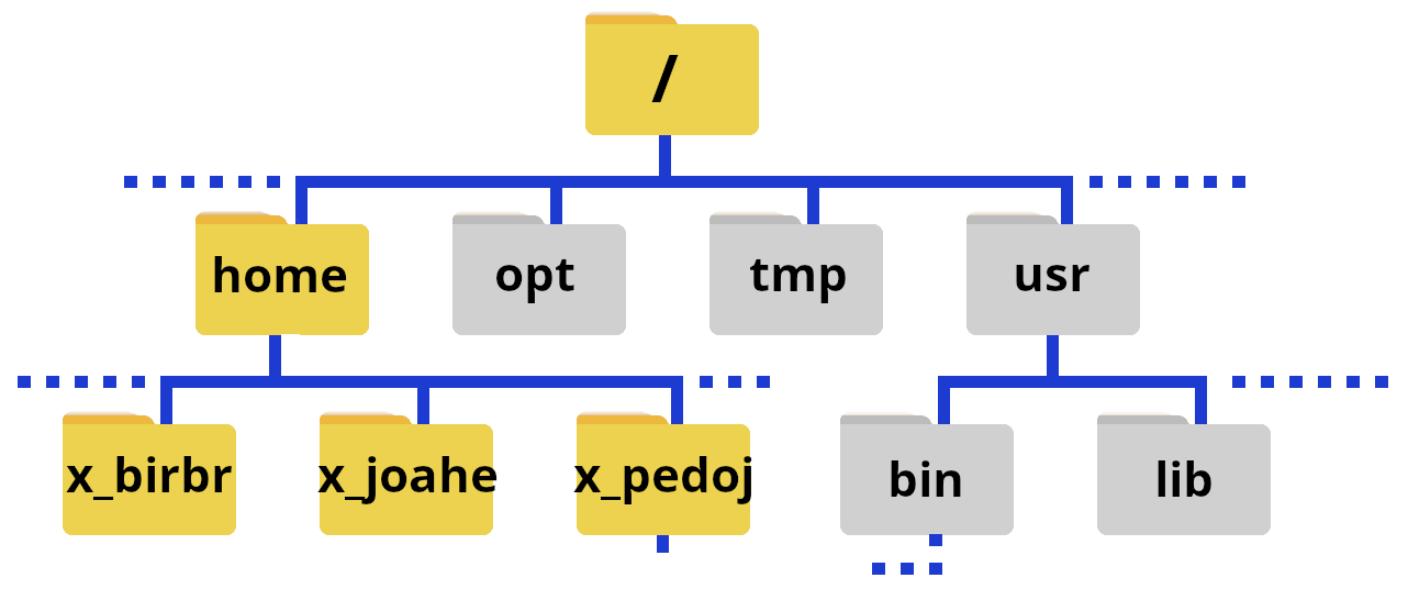 home folders file structure